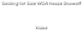 Gelding for Sale WOA Heeza Showoff Video