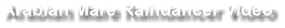 Arabian Mare Raindancer Video
