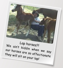 Lap horses?! We ain’t kiddin when we say our horses are so affectionate they will sit on your lap!